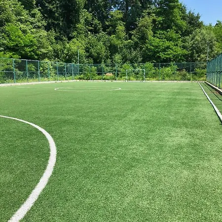 Malyvo * Dilyatyn